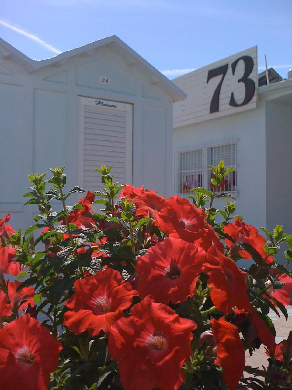 Hotel Villa Platani Riccione Exterior foto
